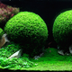 Illustration for article titled These beautiful natural landscapes are actually aquariums